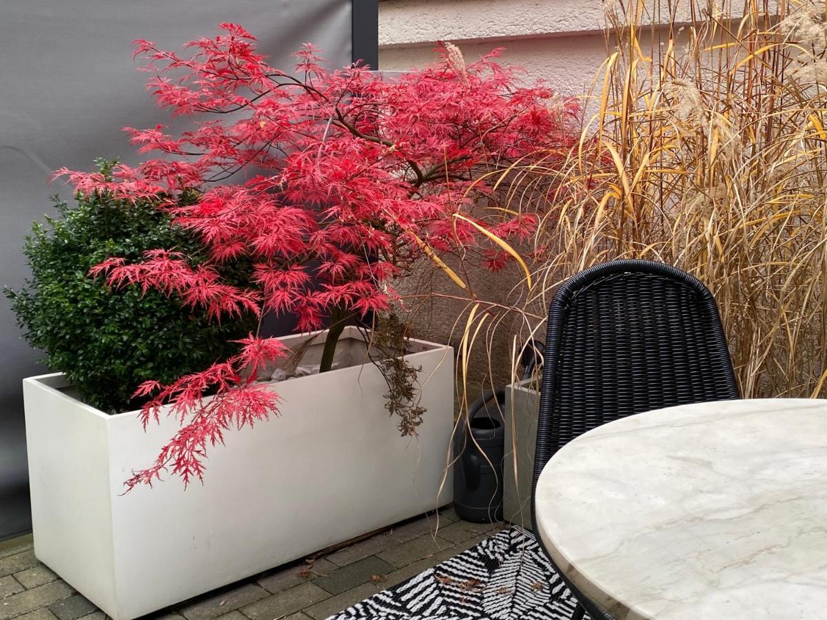 Como Design-Apartment Close To Isar River Area - Centrally Located Múnich Exterior foto