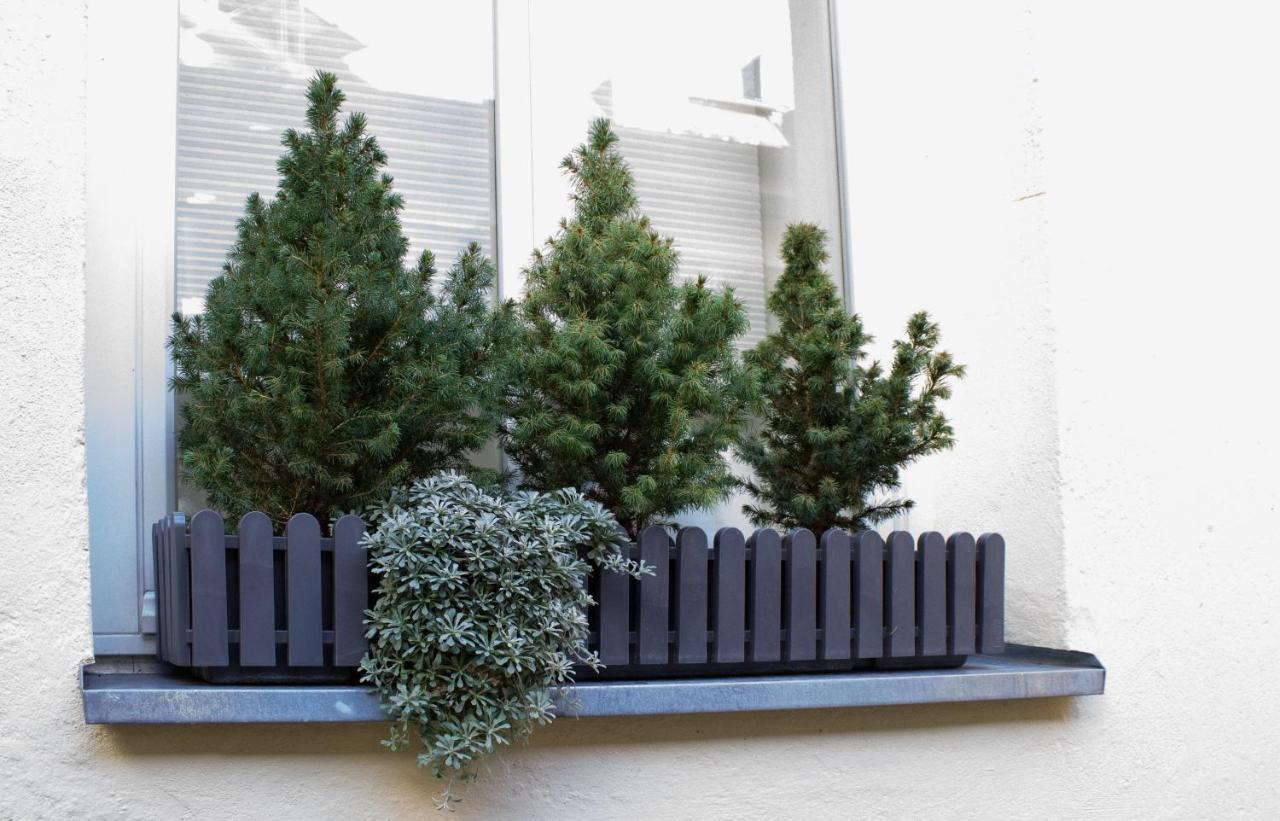 Como Design-Apartment Close To Isar River Area - Centrally Located Múnich Exterior foto